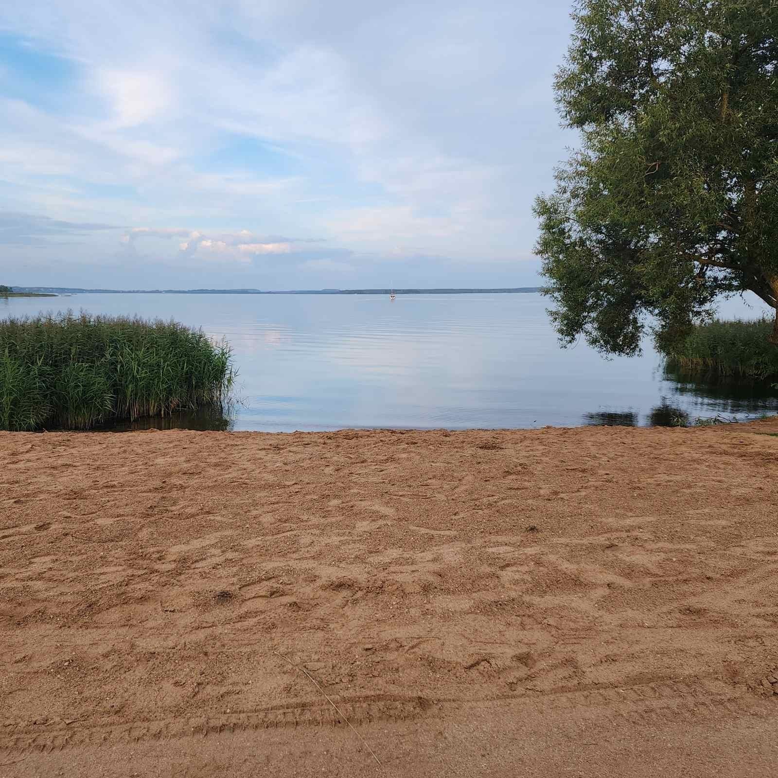 Фото 4: Дом посуточно — Дом с баней на берегу Минского моря, деревня Гонолес